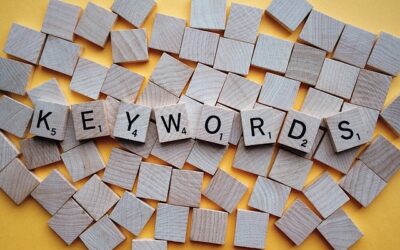 Keywords Everywhere Review